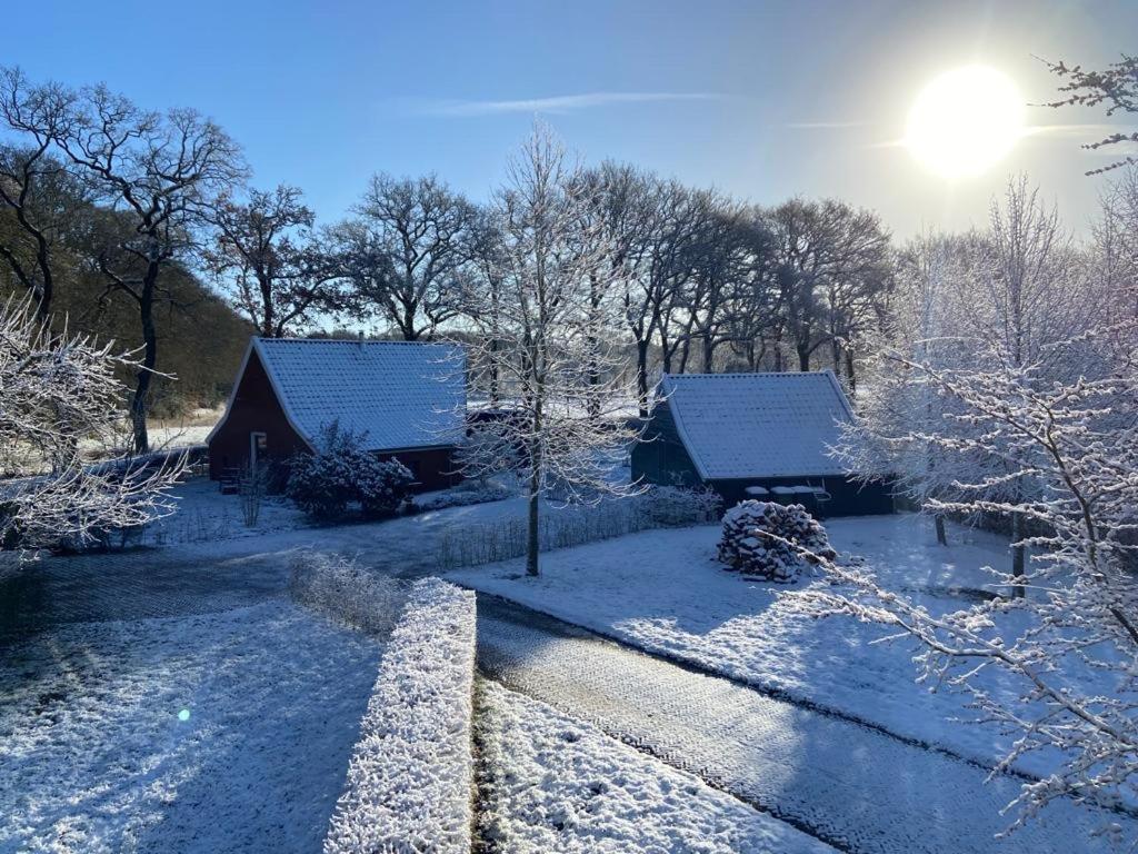 Haystackcottage Paterswolde Экстерьер фото