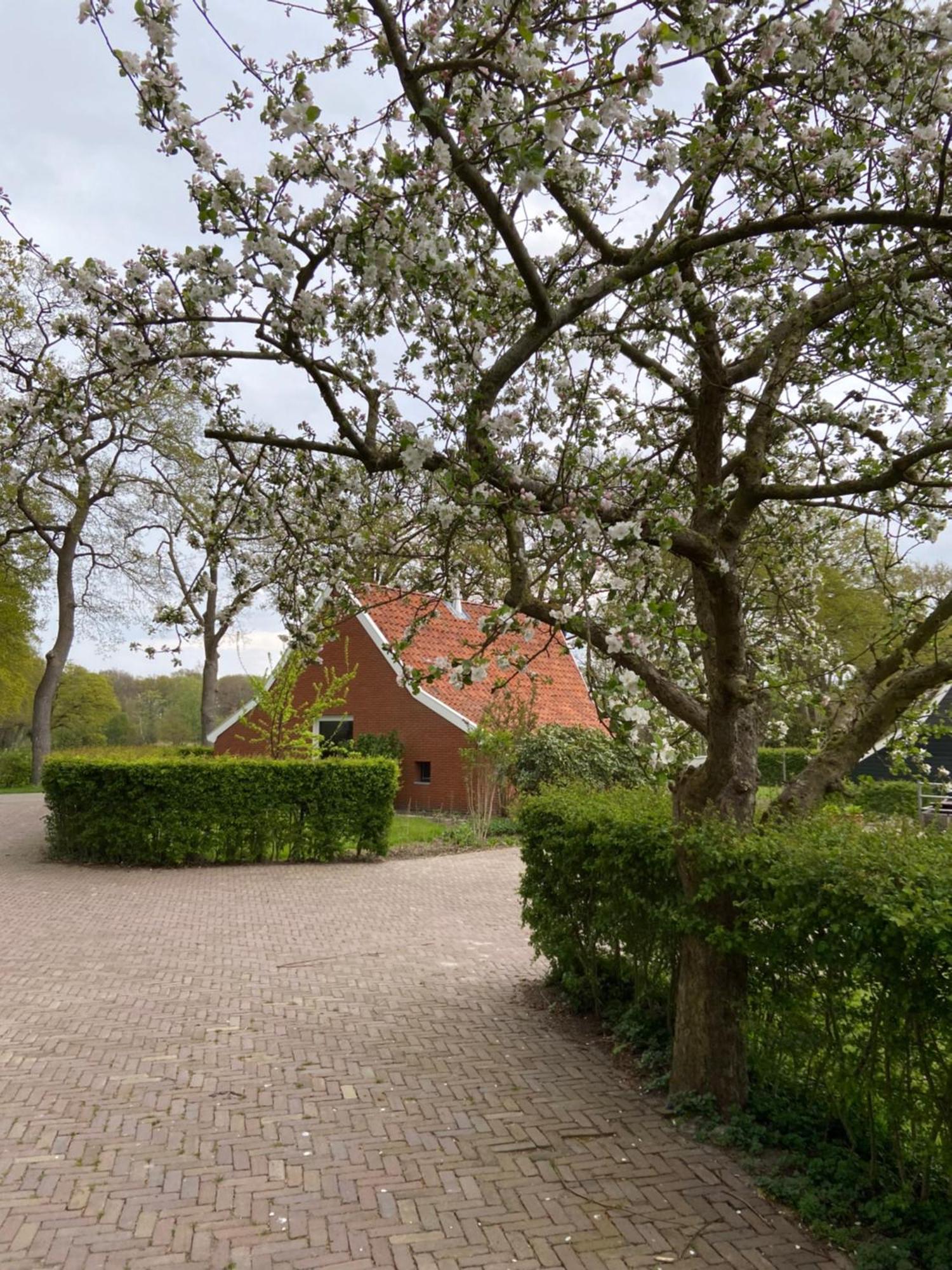 Haystackcottage Paterswolde Экстерьер фото