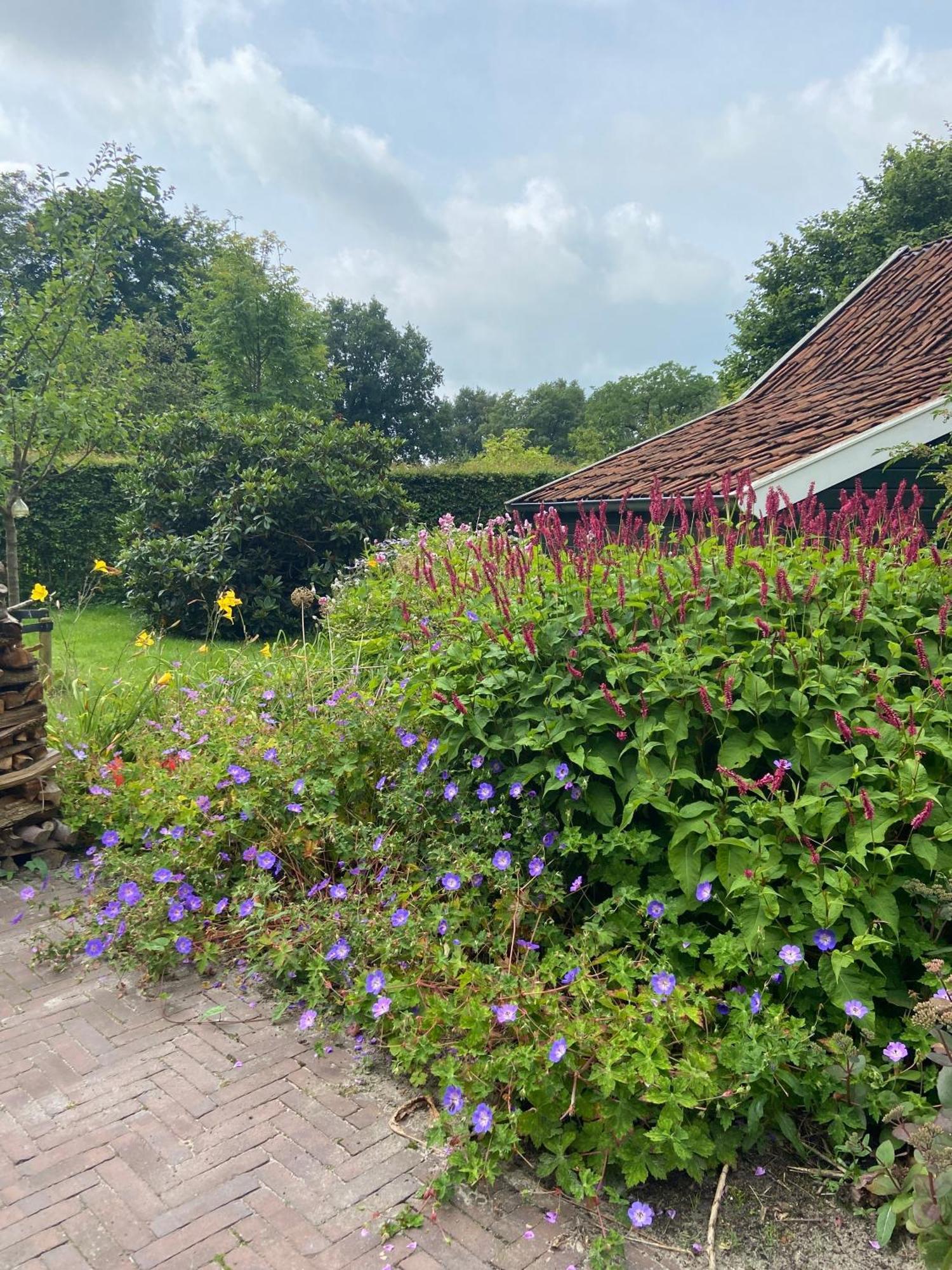 Haystackcottage Paterswolde Экстерьер фото