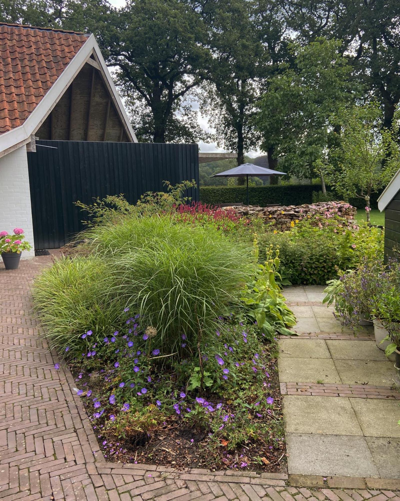 Haystackcottage Paterswolde Экстерьер фото